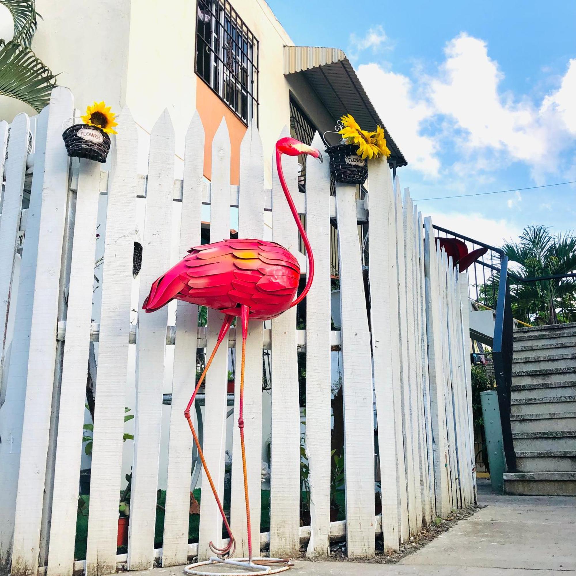 Cozzy Flamingo Apartment Concepcion de La Vega Exterior photo